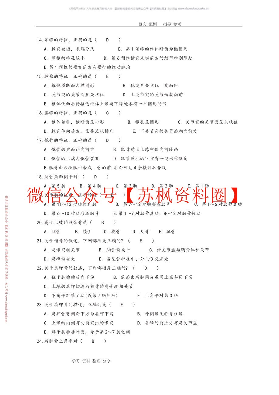 功能解剖学